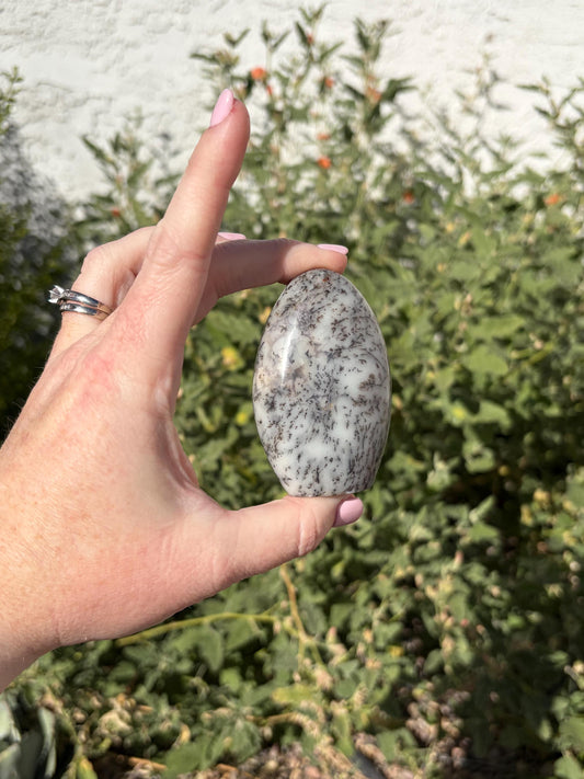 Dendritic Opal Freeform