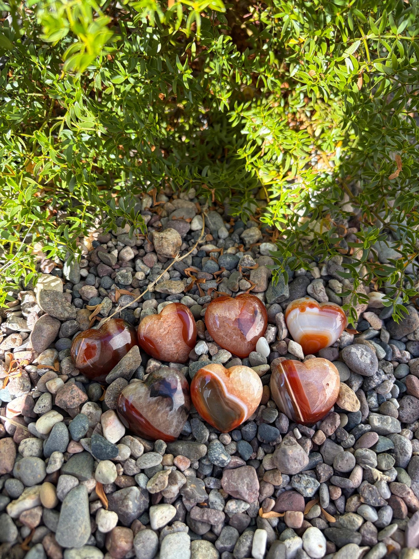 Polished Carnelian Heart Intuitively Chosen