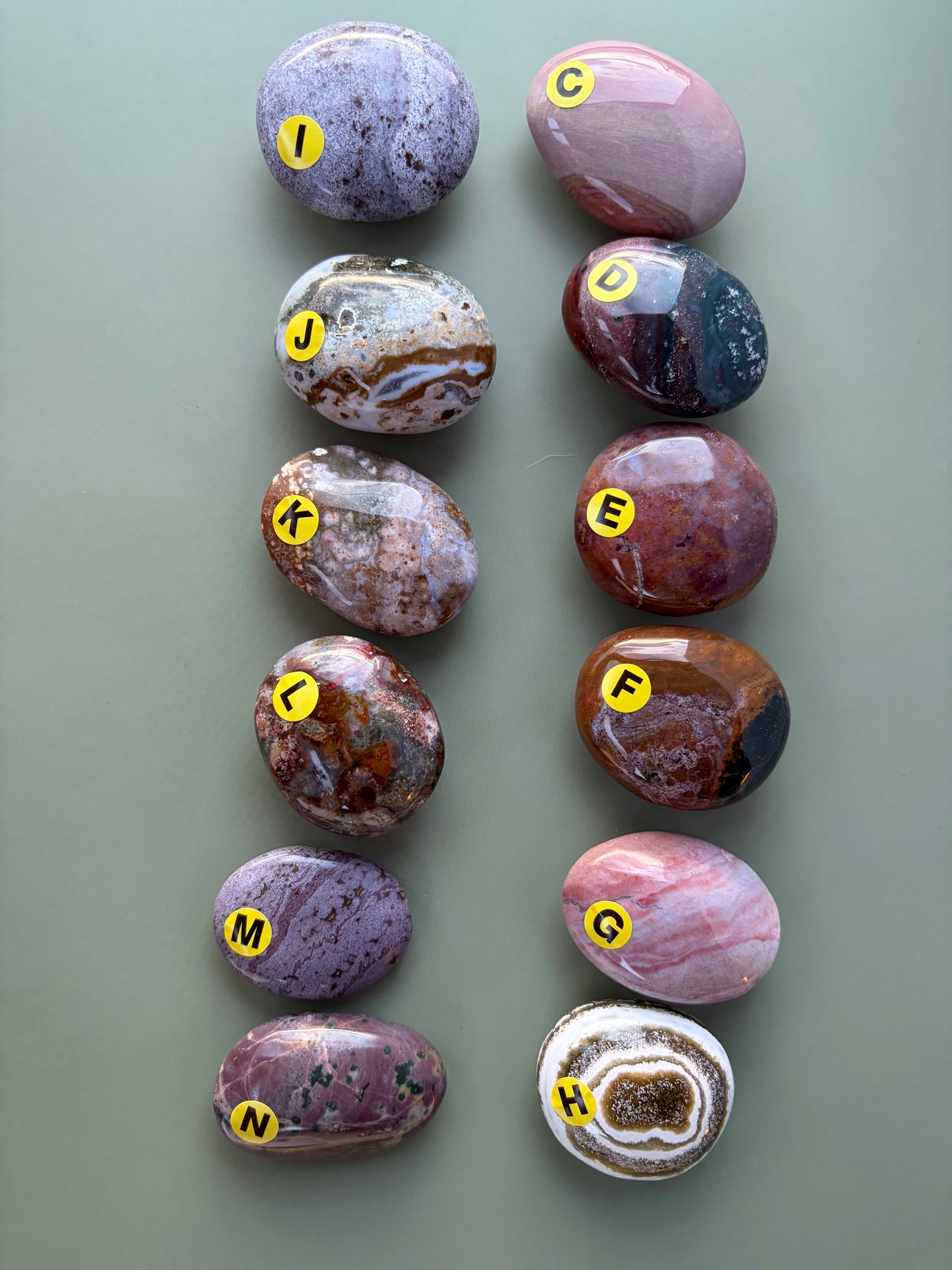 Sea Jasper Palm Stone Choose Your Own