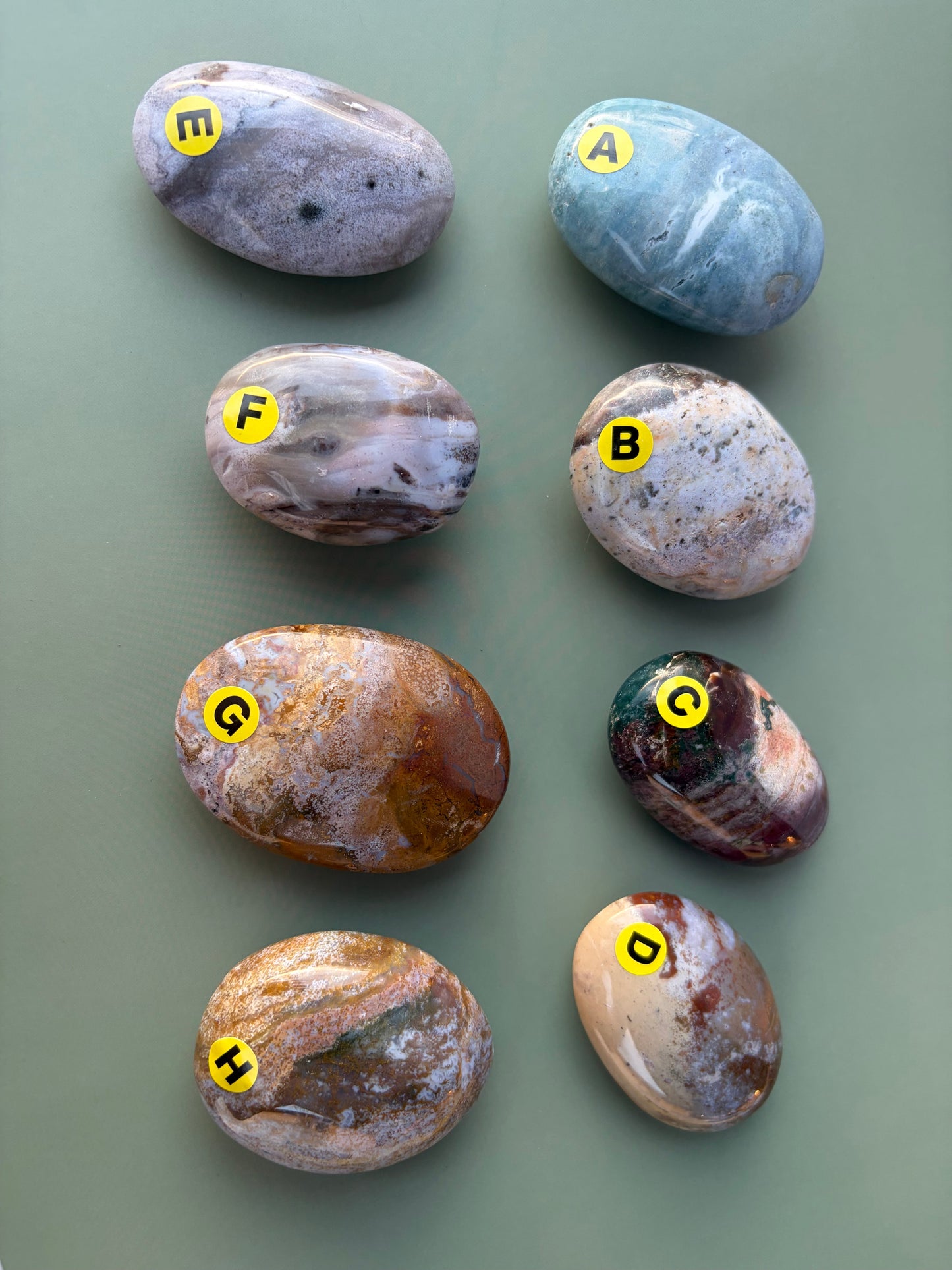 Sea Jasper Palm Stone Choose Your Own