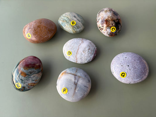 Sea Jasper Palm Stone Choose Your Own