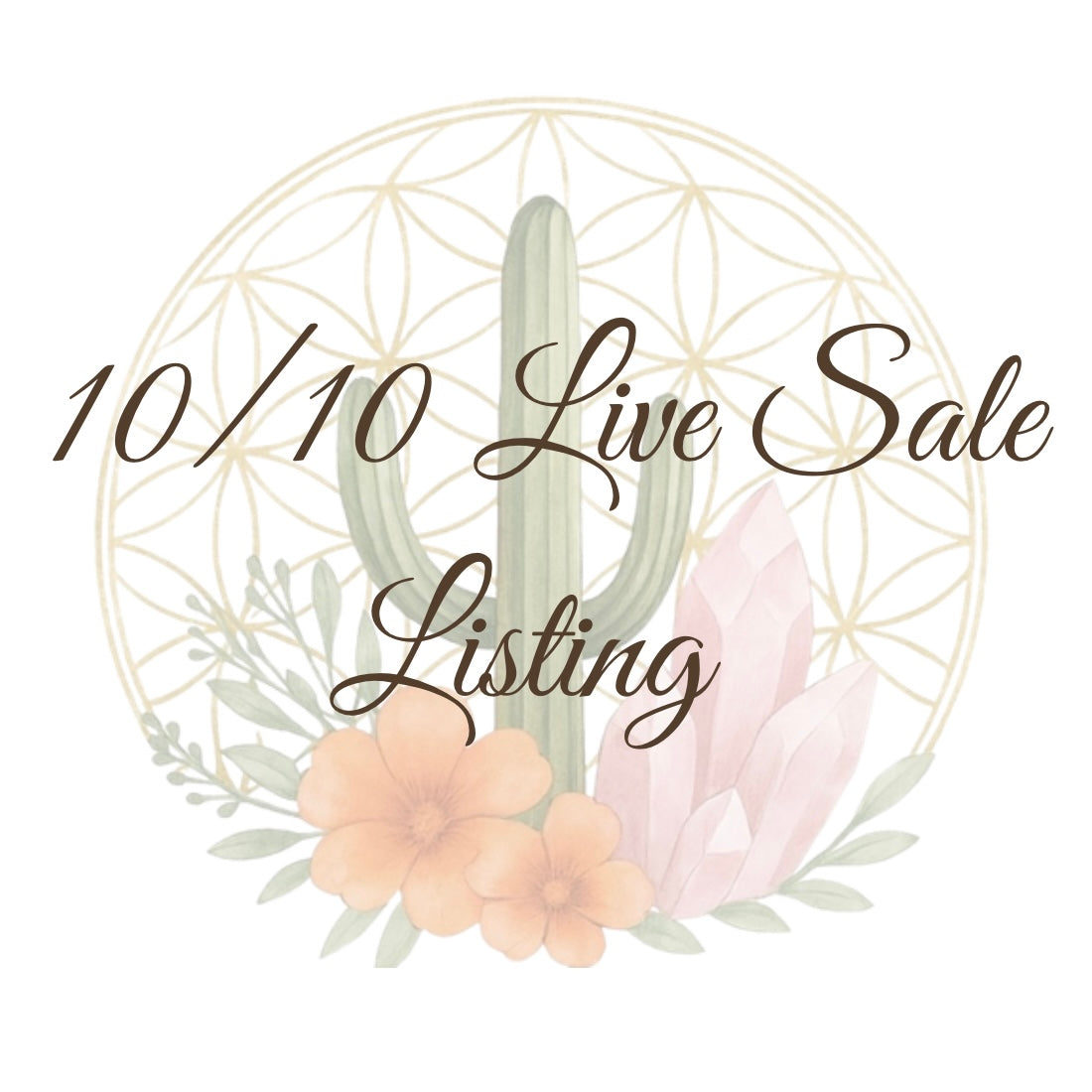 10/10 Live Sale Listing for @OhMyJordan