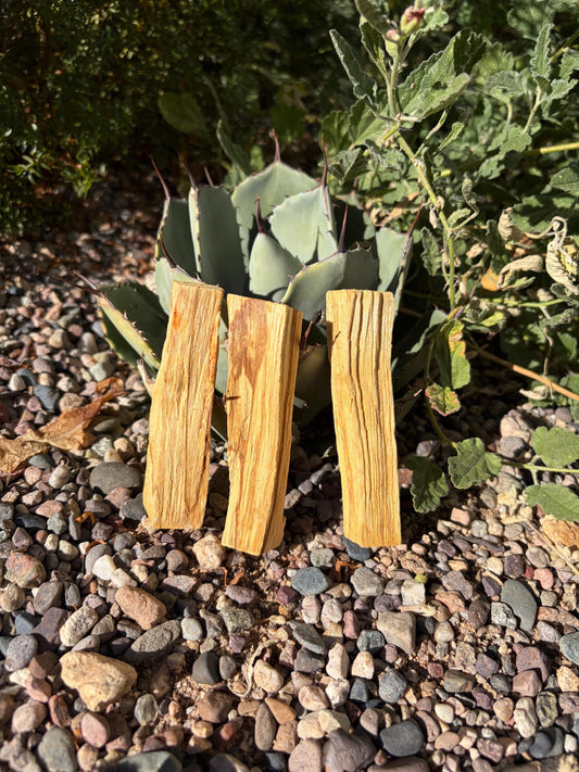 Palo Santo Wood Sticks – Set of 3